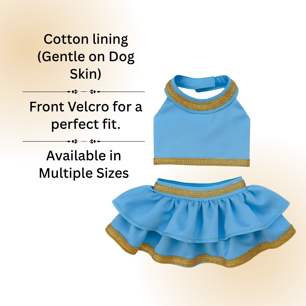 Tail N Tints Blue-Golden Party Lehengha for Dogs