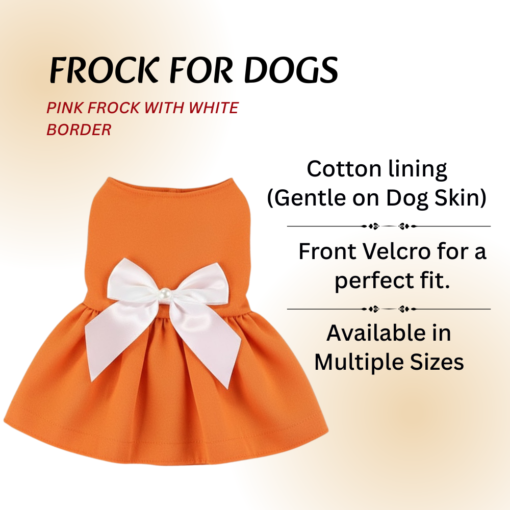 ail N Tints Orange Frock with White Bow for Dogs