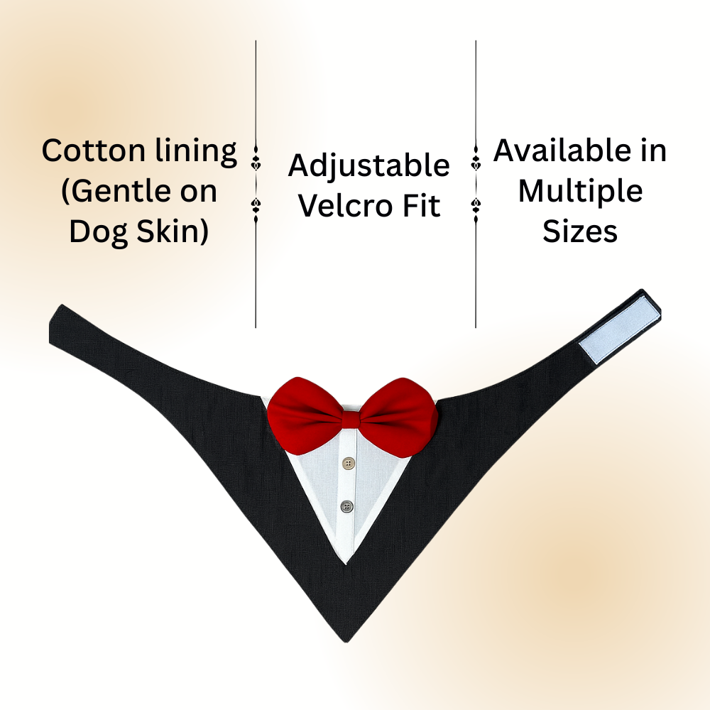 Black Tuxedo Bandana for Dogs