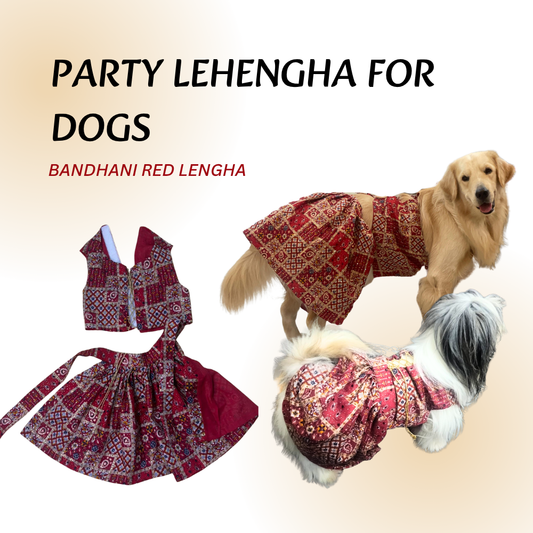 Tail N Tints Red bandhani Lehengha for Dogs