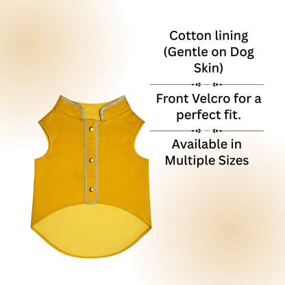 Tail N Tints Yellow Kurta with Golden Border for Dogs
