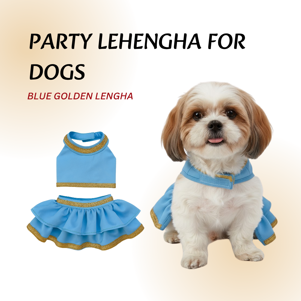 Tail N Tints Blue-Golden Party Lehengha for Dogs