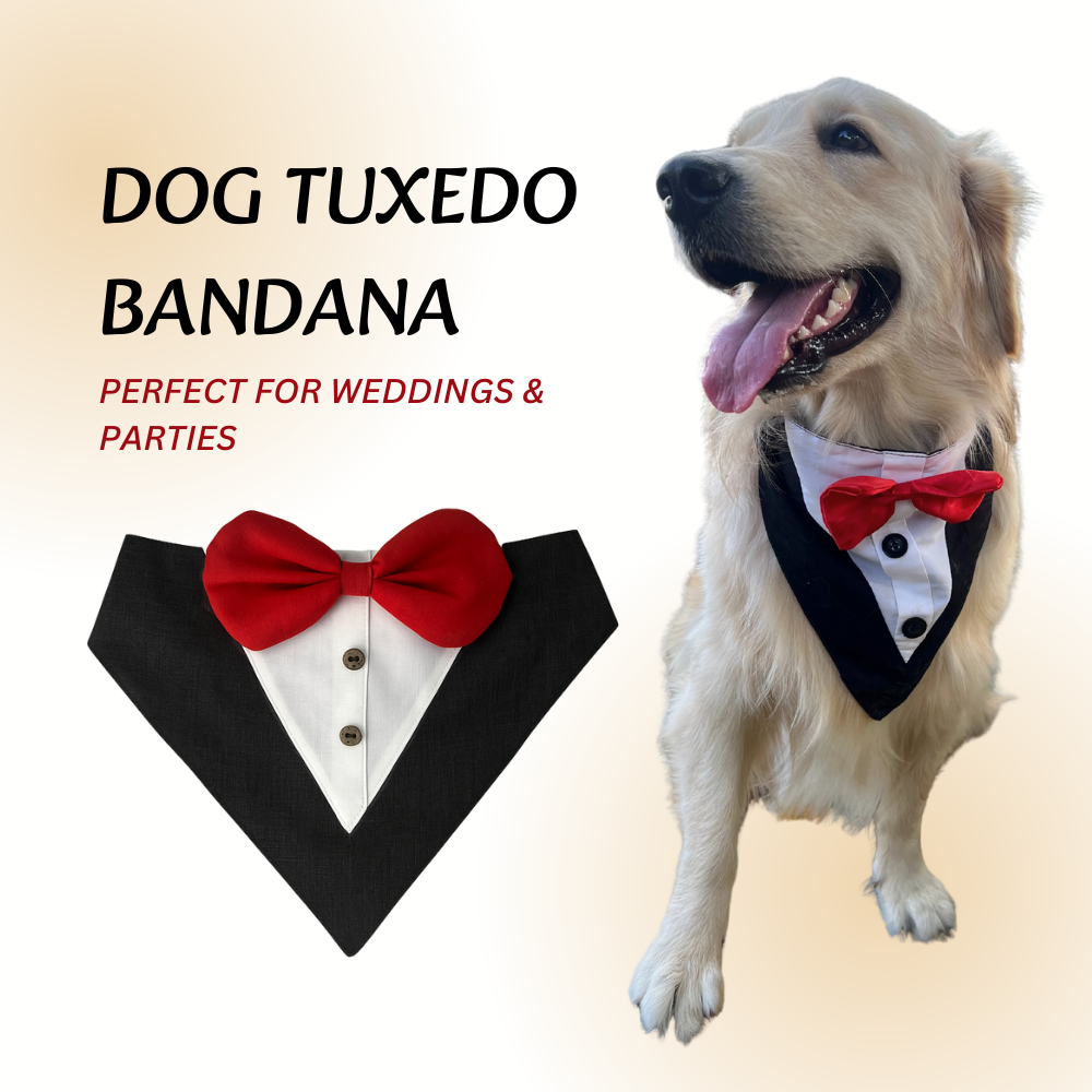 Black Tuxedo Bandana for Dogs