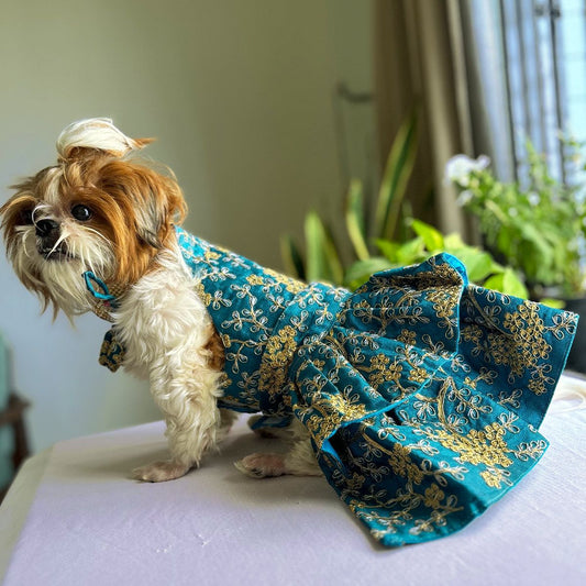 Blue lengha